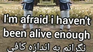 روانشناسی. زندگی شوخیه