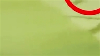 اهدای جایزه بازی جوانمردانه سال فیفا  توسط علی دایی به لوکا لوکوشویلی رسید