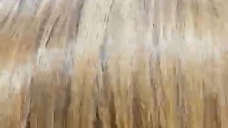 پروتئین پلکس تراپی مو