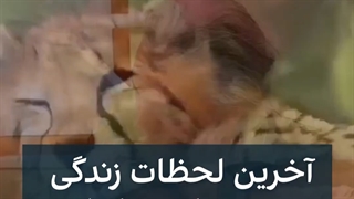 اخرین لحظات زندگی پیروز یوز ایرانی :))