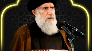 نظر بسیار شنیدنی عالم سنی درباره امام حسین علیه السلام