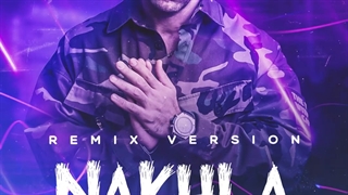 ریمیکس جدید دیجی ساشا به نام زیر نخلا