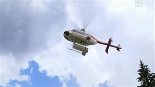 مستند سرزمین عجایب فسیل ها با دوبله فارسی - قسمت اول