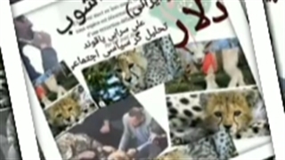 نگاهی کوتاه به مسمومیت های اخیر