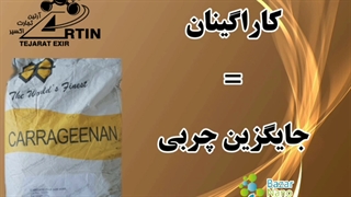 کارگینان چیست