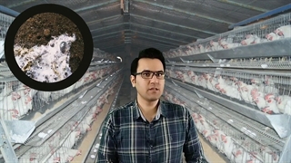 راهکار های افزایش عمر سینی کودکش