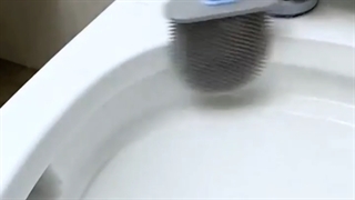 فرچه توالت فرنگی