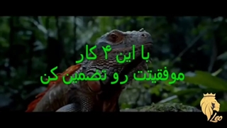 با این 4 کار موفقیتت رو تضمین کن !