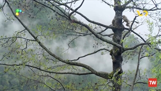 قلمروی آسمان ؛ 2018 ؛ فصل 1 ؛ قسمت 2