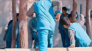 نماهنگ بیعت ولادت امام زمان (سجاد محمدی و عبدر ضا هلالی)