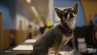 دانلود سریال ویل ترنت Will Trent 2023