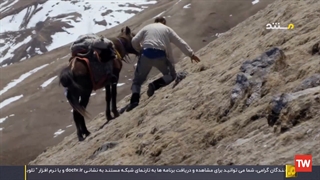 زندگی به سبک بازماندگان نخستین ؛ 2016 ؛ فصل 1 ؛ قسمت 7