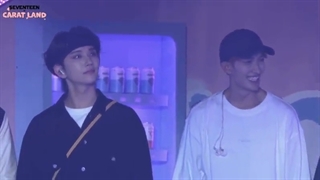 آجونایس در کاراتلند(کپشن)