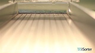 سورتینگ پسته iSorter ؛ بهترین دستگاه برای پسته کاران