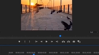 مچ کردن رنگ دو ویدیو با هم در پریمیر پرو
