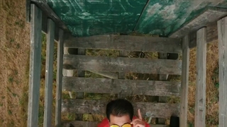 آهنگ جدید فاروق حیدری عزیزم عزیزم - میفاموزیک