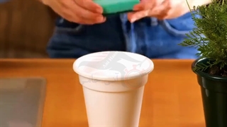 پرورش گل و گیاه در گلدان به روش ساده با آنی حامی Ani Hami