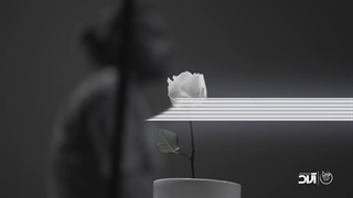 موزیک ویدئو رز سفید (حامیم)