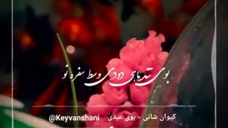 آهنگ جدید کیوان شانی بوی عیدی - میفاموزیک