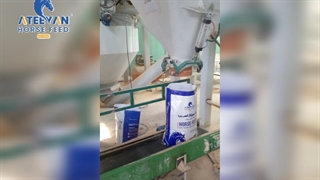 تولید خوراک اسب آتیین