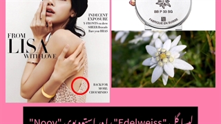 ادامه اخبار مهم بلک پینک (میدونستین لیسا تتو زده؟)