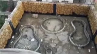 اجرای سنگ مالون لاشه 09129287996