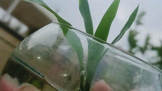 صبح بامبوییتون بخیر باشه خوشگلا♥♡