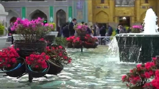 گل آرایی حرم مطهر رضوی در آستانه نوروز 1402
