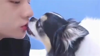 من اصن به کامی حسودی نمی کنم