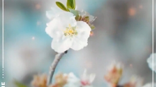 تبریک عید نوروز