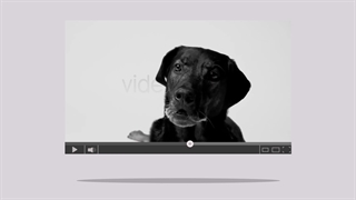 نمونه موشن گرافیک برای شرکت envato ساخت motioncue