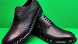 کفش مجلسی سایز بزرگ کرج گوهردشت