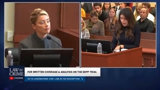 7 Moments Of Camille Vasquez Being A Star In Court