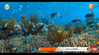 جهان ما ؛ 2022 ؛ فصل 1 ؛ قسمت 4