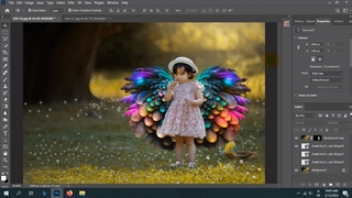 بال های لایه باز png