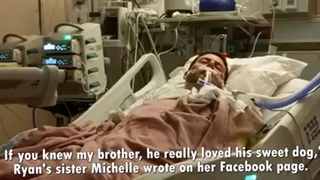 وفای سگ یا محبت‌ متقابل (اصل طبیعت)