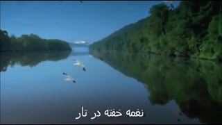 علی اصغر شاهزیدی - جام مدهوشی پر کردن دندان