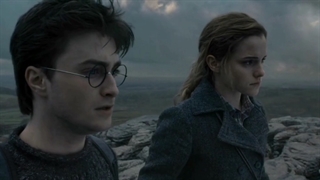 هری و هرماینی