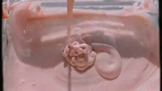 آموزش درست کردن موچی!