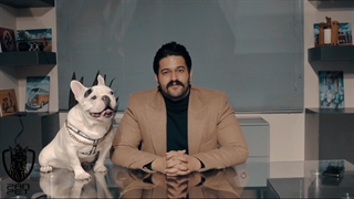 Panpetkc | سگ بولداگ فرانسوی | معرفی سگ بولداگ فرانسوی