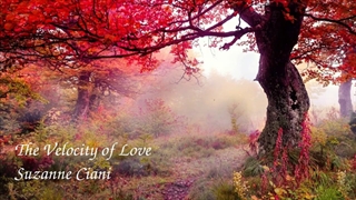 Suzanne Ciani | The Velocity of Love
