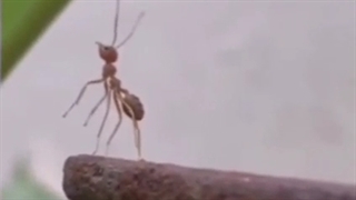 عاقبت کمک کردن به بعضیا