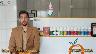 کاربرد حشره کش استامی پراید چیست؟