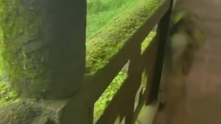 ۱۷:۱٠