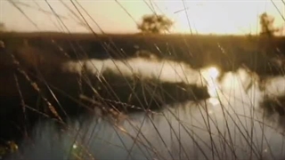 چرا نمیاد ...!؟