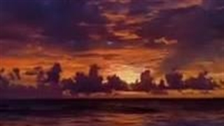 ادیت خودمه میشه حمایت کنی؟