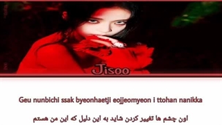 لیریک فارسی آهنگ Flower از Jisoo