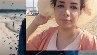 محسن چاوشی باب درمی