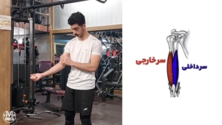 جلو بازو هالتر EZ رو چطور باید بگیریم ؟ | چه تفاوتی توی درگیری عضلات داره ؟|