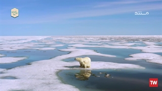 رخنه در اسرار ؛ 2021 ؛ فصل 60 ؛ قسمت 13 ؛ بخش 2